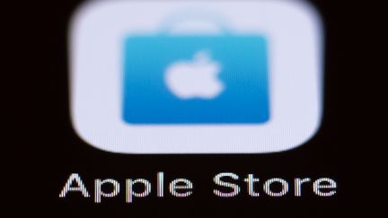 L'application ToTok a été supprimée de l'Apple Store et de Google. (SILAS STEIN / AFP)