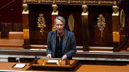 Elisabeth Borne s'exprime à la tribune de l'Assemblée nationale, à Paris, le 8 décembre 2022. (AMAURY CORNU / HANS LUCAS / AFP)