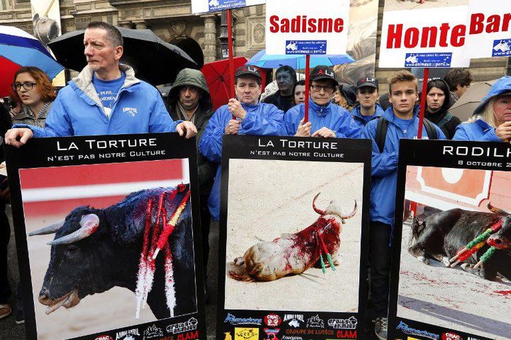 Manifestation à Paris contre la tauromachie
 (François Guillot / AFP)