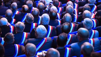 Des élus lors des Assises des maires bretons, à Saint-Brieuc (Côtes-d'Armor), le 3 avril 2019. (DAMIEN MEYER / AFP)