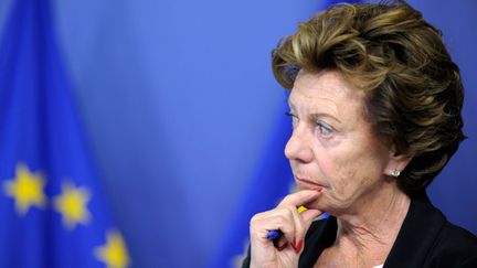  (Neelie Kroes fut également ministre des Transports des Pays-Bas de 1982 à 1989 © REUTERS / Laurent Dubrule)