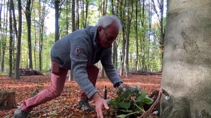 Belgique : faire son deuil autrement en dispersant les cendres des défunts dans une forêt privée