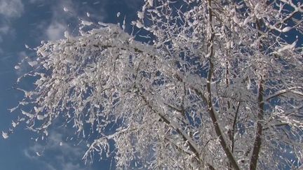 Intempéries : l’Alsace recouverte de neige