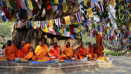 Des moines bouddhistes à Lumbini (Népal), où Bouddha serait né.
 (Kyle Knight / AFP)