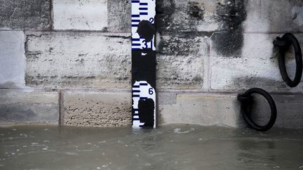 Crue de la Seine : Paris et ses environs se préparent au pic