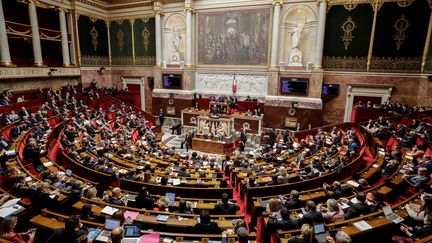 Le Premier ministre Edouard Philippe s'adresse aux députés à propos du "grand débat national", le 9 avril 2019 à l'Assemblée nationale. (THOMAS SAMSON / AFP)