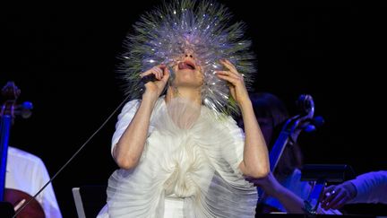  (Björk a annulé sa participation à la Route du rock © REUTERS/Mike Segar)