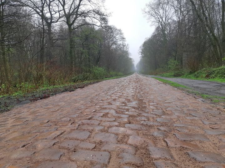 Le chemin pavé de Paris-Roubaix après la rénovation.&nbsp; (FABRICE RIGOBERT/RADIOFRANCE)