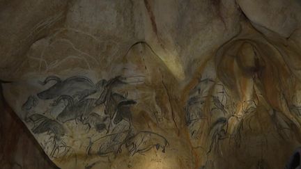 Ardèche : le trésor préhistorique de la grotte Chauvet