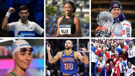 De haut en bas et de gauche à droite : Novak Djokovic, Allyson Felix, Alexis Pinturault,&nbsp;Federica Pellegrini, Stephen Curry et l'équipe de France de judo. (AFP / D.R.)