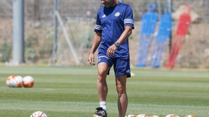 Peter Bosz (JACK GUEZ / AFP)