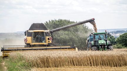 Pour 2024, la récolte de blé est annoncée en chute de 25% en France. (BRUNO LEVESQUE / MAXPPP)