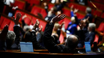 Des députés lors d'une séance à l'Assemblée nationale, à Paris, le 24 octobre 2024. (JULIEN DE ROSA / AFP)