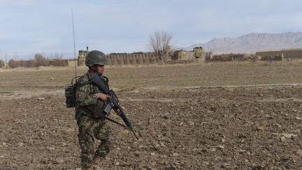 Un soldat de l'armée afghane patrouille dans la province de Paktika, le 24 novembre 2014. (SHAH MARAI / AFP)