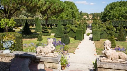 Les Jardins de Musique de William Christie 
 (Alain Bouldouyre)