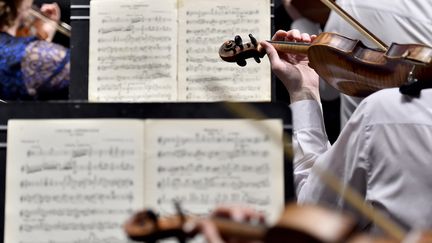 Répétition de l'orchestre philharmonique de l'Oural pour la Folle journée de Nantes le 31 janvier 2018 (archives)
 (Loïc Venance / AFP)