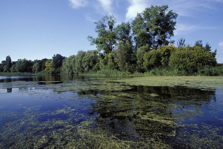 Dans la vallée de la Conie, il est bon de se balader à pied et de pique-niquer sur les bords de la rivière du même nom (FORGET PATRICK/SAGAPHOTO.COM / SAGAPHOTO)