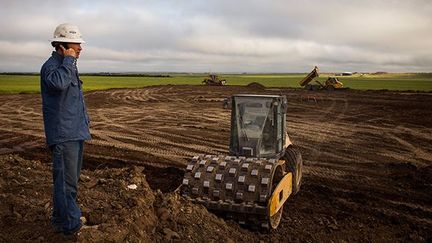 sur un champ de colza qui va être utilisé pour de nouvelles constructions. (Andrew Burton / Getty Images / AFP)