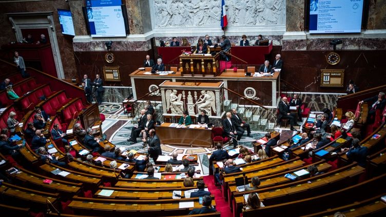 A public session of questions to the government at the National Assembly, April 11, 2023. (XOSE BOUZAS / HANS LUCAS / AFP)