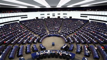 Les eurodéputés siègent au Parlement européen à Strasbourg (Bas-Rhin), le 13 mars 2024. (FREDERICK FLORIN / AFP)