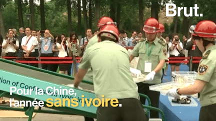 brut : ivoire chine