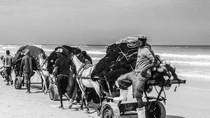 les filets sont nettoyés, démêlés et rangés, au rythme des chants des pêcheurs. Plusieurs charrettes sont nécessaires pour les transporter. Les filets sont très longs (plus d’un kilomètre) et lourds (plusieurs hommes sont nécessaires pour les tirer et les ranger). (Nathalie Guironnet)