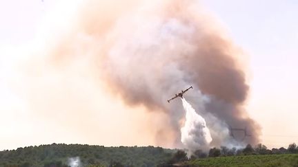 Un canadair combat les flammes (France Info)