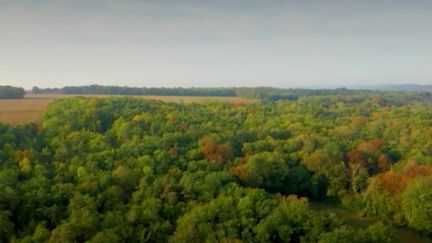 En Essonne, un propriétaire a légué au département une forêt de 35 hectares. Après un an de travaux pour l’aménager et la préserver, elle a&nbsp;été&nbsp;ouverte au public au début du mois de décembre. (France 2)