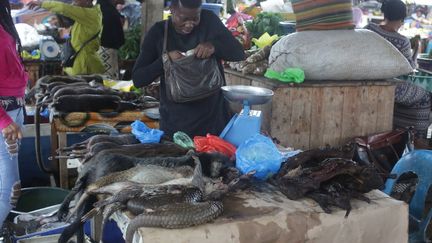 A Libreville, la capitale du Gabon, les carcasses de pangolins étaient encore mises en avant par les vendeurs le 7 mars 2020. (STEEVE JORDAN / AFP)