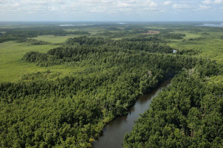 Vue aérienne de la province de l'Ogooué-Maritime (ouest du Gabon). Photo prise le 3 août 2014. (AFP - RIEGER BERTRAND / HEMIS.FR / HEMIS)