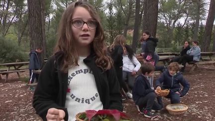 Pendant quatre jours, des enfants participent à des activités autour de l’environnement, organisés par l’écomusée de Gardanne, dans les Bouches-du-Rhône. (CAPTURE ECRAN FRANCE 2)