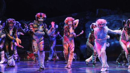 "Cats", la comédie musicale mythique s'installe à Paris au Théâtre Mogador pour 90 représentations
 (DELALANDE RAYMOND/SIPA)