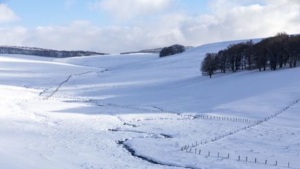 Le plateau de l'Aubrac, dans le Cantal, recouvert de neige, le 10 février 2018. (CAVALIER MICHEL / HEMIS.FR / AFP)