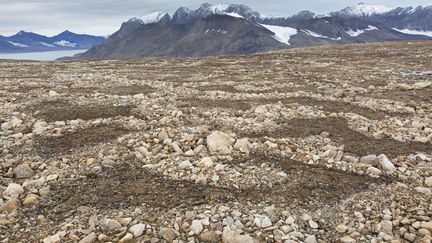 Des monticules soulevés dans le pergélisol dans l'archipel du Svalbard (Norvège). (ARTERRA / UNIVERSAL IMAGES GROUP EDITORIAL via GETTYIMAGES)