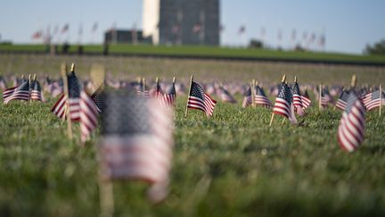 Des drapeaux américains en hommage aux victimes du Covid-19, le 22 septembre 2020 à Washington (Etats-Unis). (ALEX EDELMAN / AFP)