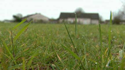 Environnement : une mairie offre une prime à un agriculteur pour qu’il n’utilise plus de pesticides (France 2)