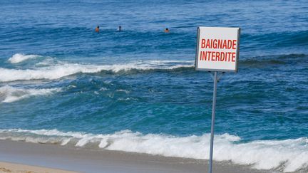 Le requin aperçu le 22 juillet 2023 au large du Barcarès dans les Pyrénées-Orientales n'était "pas agressif du tout" selon les sauveteurs. (FRANCK DUBRAY / MAXPPP)