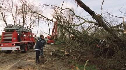 Tempête de 1999 : les Pays de la Loire meurtris il y a 20 ans