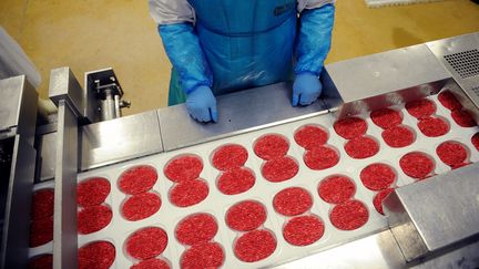 Un employ&eacute; de l'entreprise Spanghero &agrave; Castelnaudary (Aude), le 23 juin 2011. (REMY GABALDA / AFP)