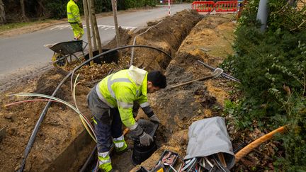 Un technicien installe la fibre optique à Gand, en Belgique, le 8 février 2022.&nbsp; (JAMES ARTHUR GEKIERE / BELGA MAG / AFP)