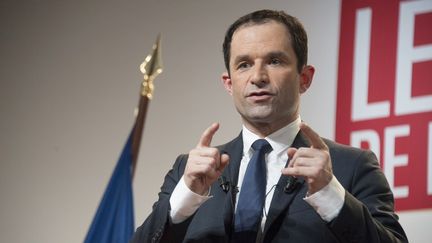 benoît Hamon achevait un déplacement de trois jours en Guadeloupe et Martinique, deux terres de gauche qui ont massivement voté pour Valls lors de la primaire de la gauche.  (HELENE VALENZUELA / AFP)