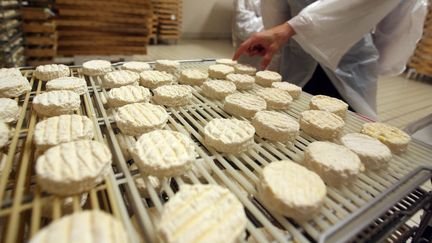 Des fromages&nbsp;Saint-Marcellin à&nbsp;Saint-Just-de-Claix (Isère), en juillet 2009. (MAXPPP)