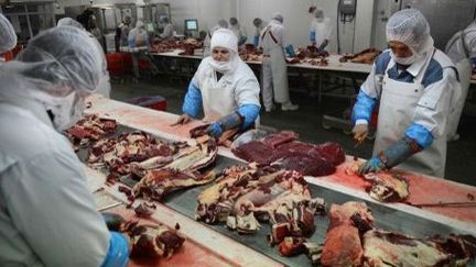 Dans un abattoir roumain, situé à 450 km au nord de Bucarest, le 12 Février 2013. (AFP PHOTO DANIEL MIHAILESCU)