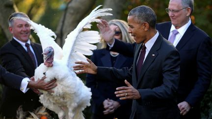 VIDEO. A l'occasion de Thanksgiving, Obama gracie sa dernière dinde