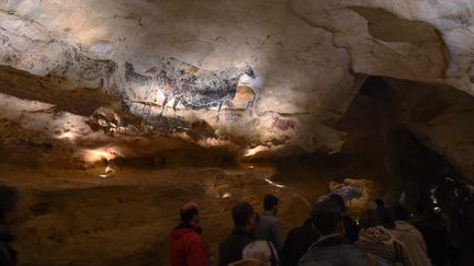 Les premiers visiteurs de Lascaux 4 le 15 décembre 2016
 (MEHDI FEDOUACH / AFP)