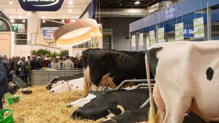 Le stand Lactalis au Salon International de l'agriculture de Paris, le 25 février 2024. (SANDRINE MARTY / HANS LUCAS / AFP)