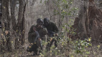 Des rangers d'African Parks à l'entraînement dans le parc national de Pendjari au Bénin en 2018. (STEFAN HEUNIS / AFP)