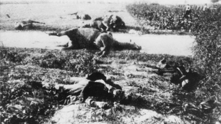 Des cadavres de chevaux et de soldats gisent au sol &agrave; Halen (Belgique), le 12 ao&ucirc;t 1914. (MARY EVANS / SIPA)