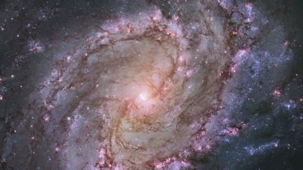 Hubble photographie des milliers d'amas d'&eacute;toiles, des centaines de milliers d'&eacute;toiles, et des "fant&ocirc;mes" d'&eacute;toiles mortes nomm&eacute;s restes de supernovas. Voici la galaxie spirale M83, sur un clich&eacute; diffus&eacute; en janvier 2014. (NASA NASA / REUTERS)