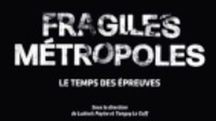 Ludovic Faytre publie "Fragiles métropoles". (FRANCEINFO)